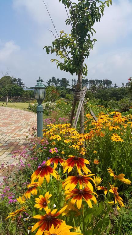 Villa Baghdad House Jeju Exterior foto