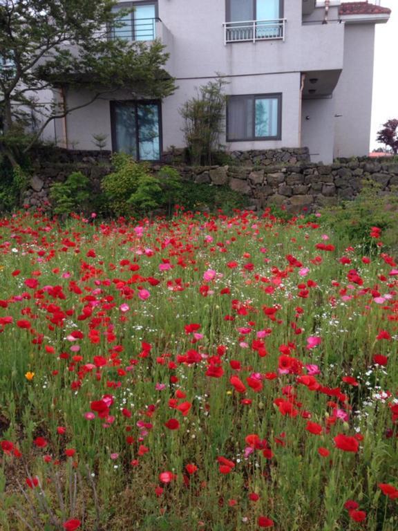 Villa Baghdad House Jeju Exterior foto